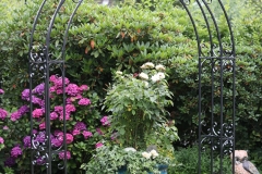 20190714152313_IMG_8574